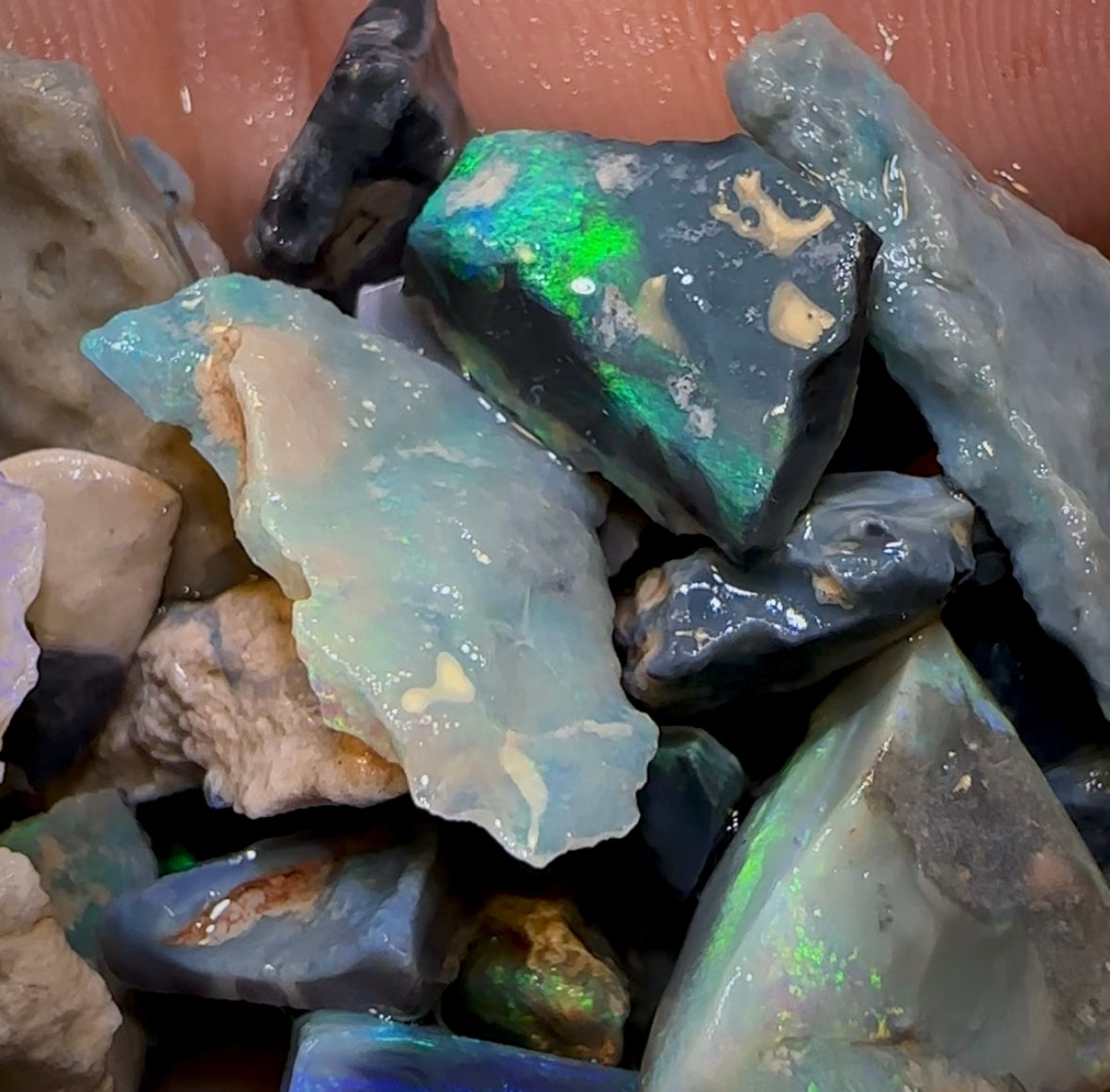 125.3cts - 30+ Lightning Ridge Crystal, Dark and Black Opal Rough Parcel - Opal Whisperers