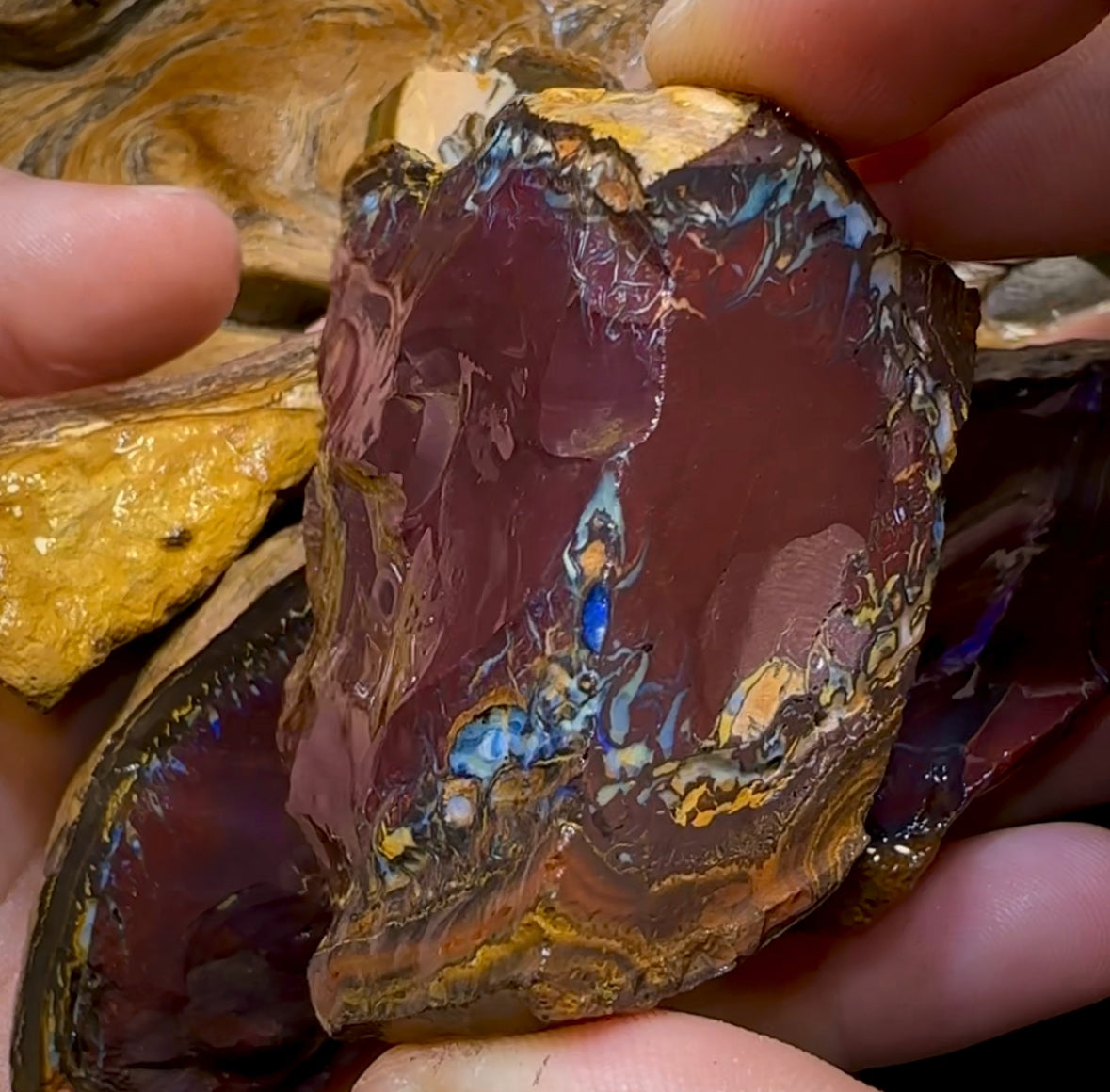 400.4g- 5x Large Queensland Boulder Opal Rough Pieces - Opal Whisperers