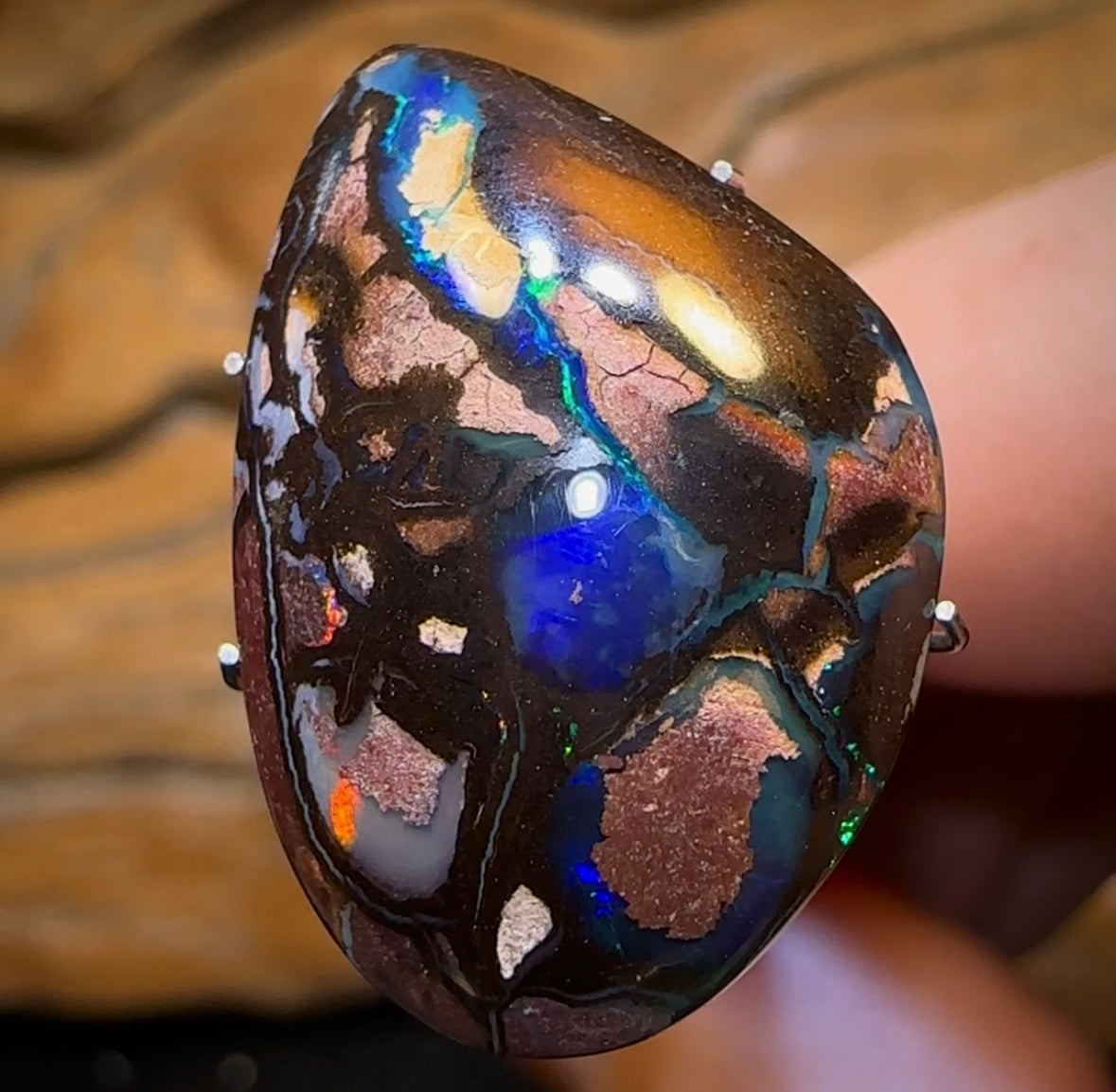 16.4cts - Top Tribal Queensland Boulder Opal from Koroit with Kernels