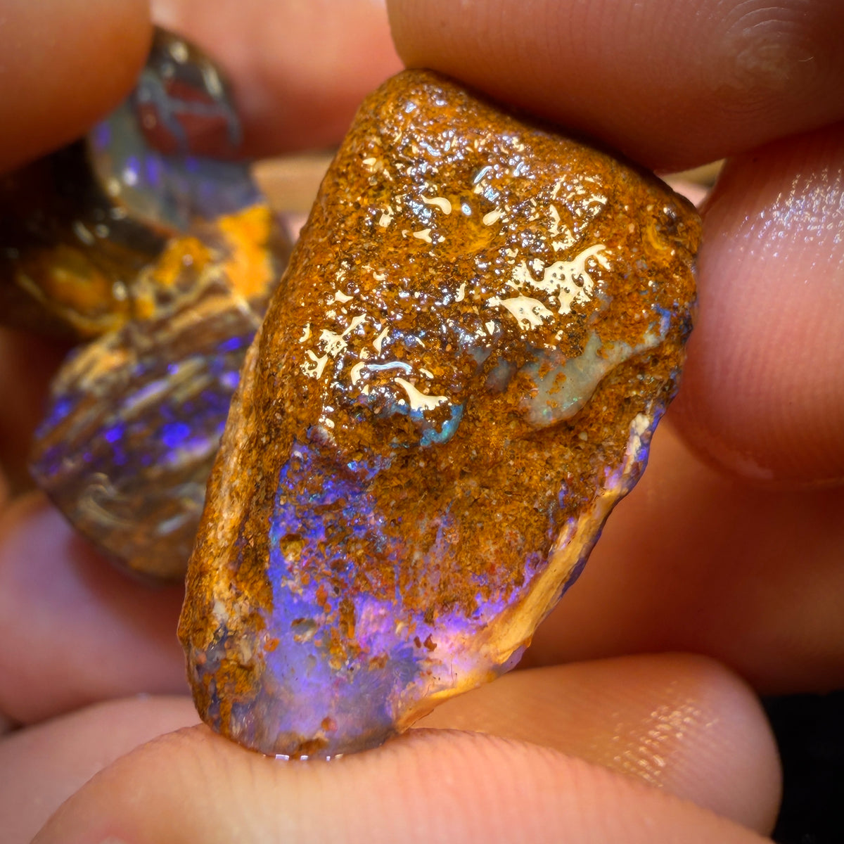 🔨 AUCTION 🔨 154.7cts - 3x Yowah Nut Rough Opal Parcel. Fossil and Kernel!