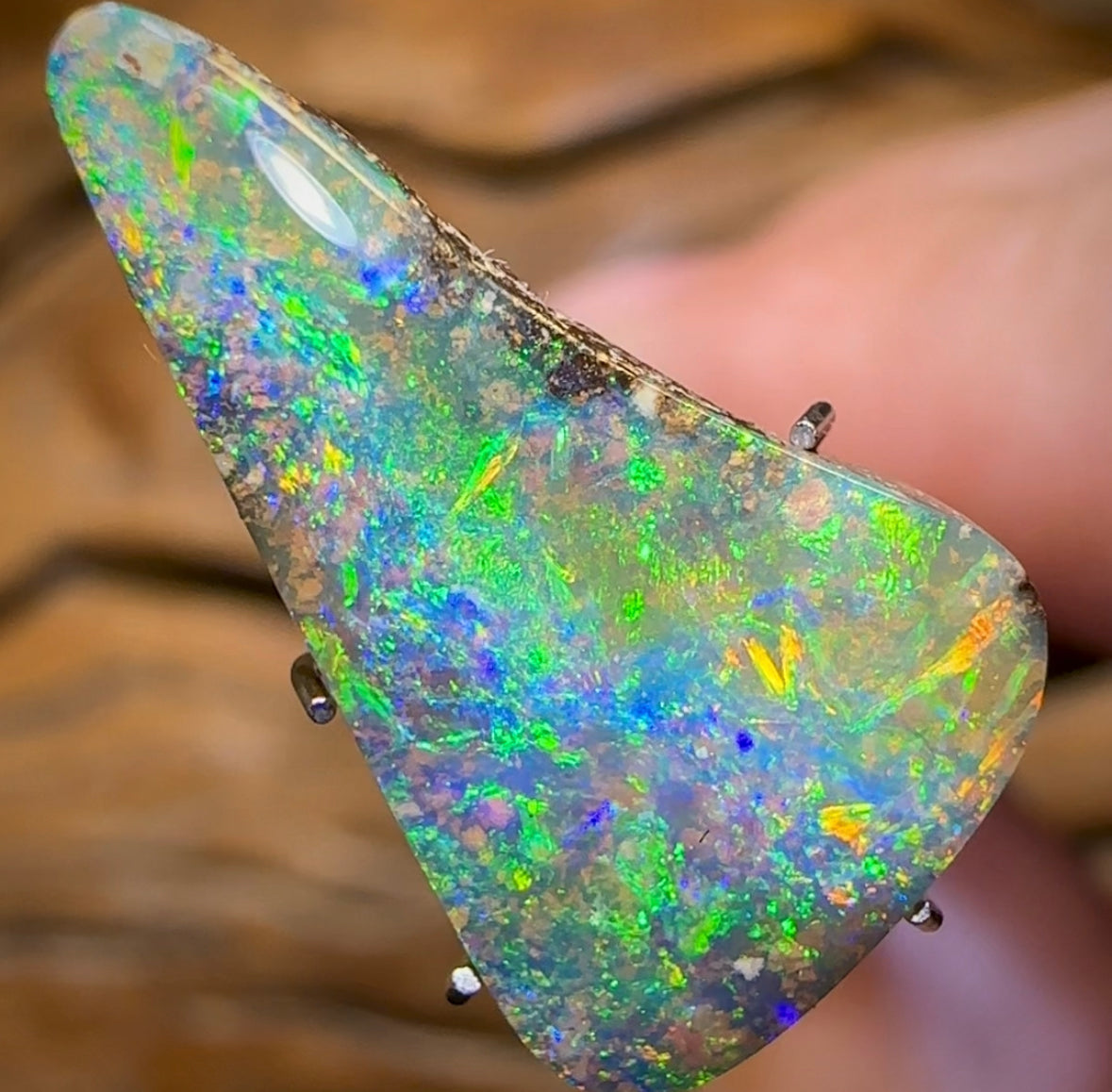 5.3cts - GEM Queensland Boulder Seam Opal from Winton - Opal Whisperers