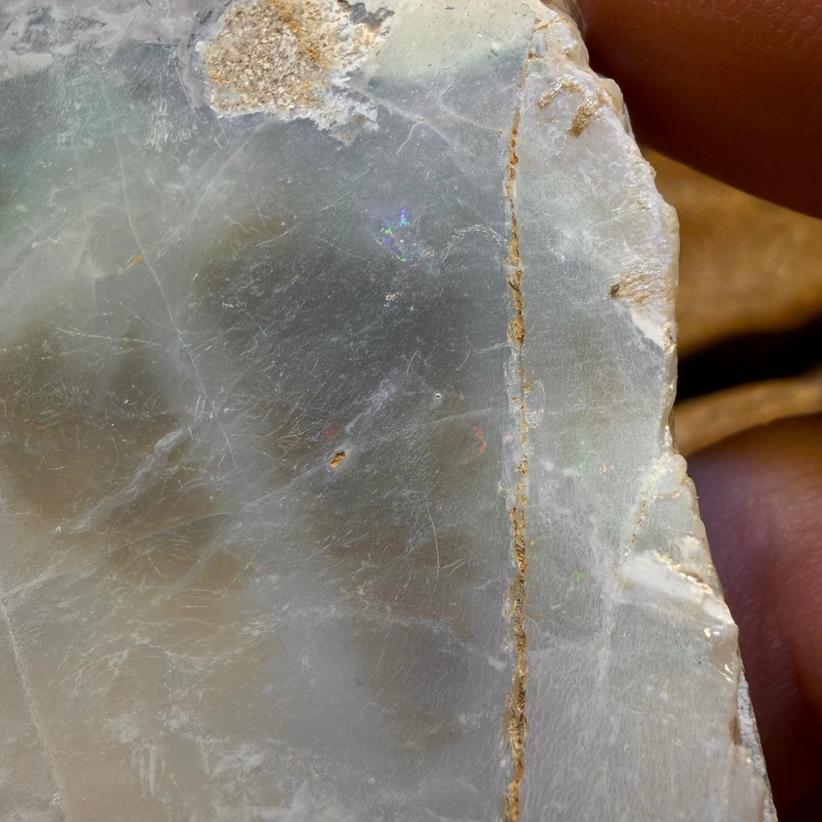 621cts - Südaustralischer Opal Poliertes Exemplar aus Mintabie