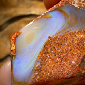 🔨 AUCTION 🔨 62.5cts - Boulder Pipe Opal Rough Piece. Australian Opal
