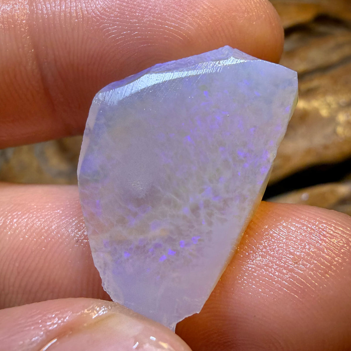 HDW 34.4cts - 3x Lightning Ridge Opal Rough Parcel
