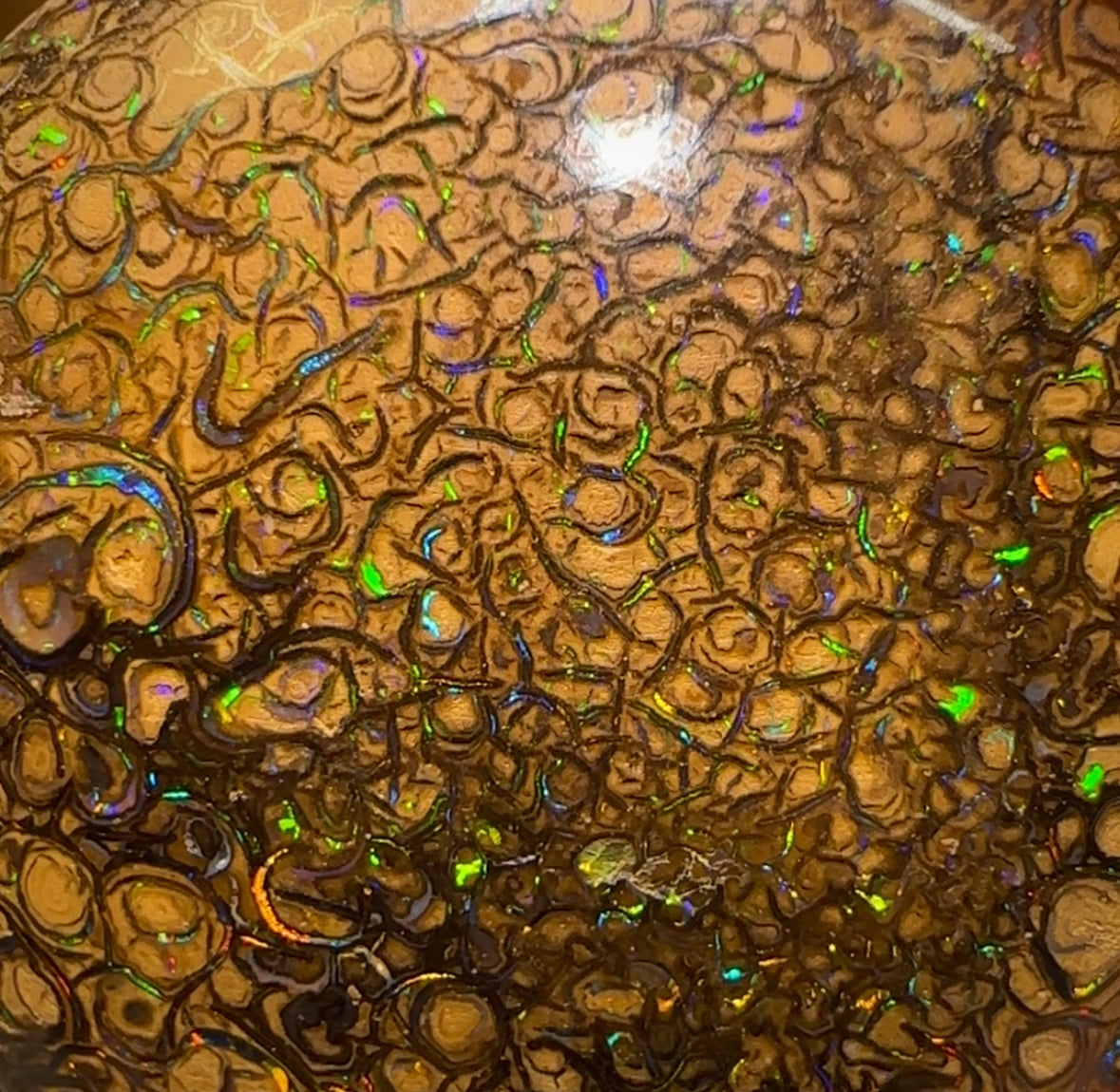 41.9cts - Yowah Boulder Opal. Tight Pattern Tan Tribal Australian Opal - Opal Whisperers