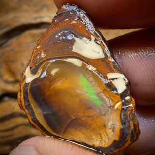 55.4cts - Yowah-Nuss Kristall-Zentrum Opal Rohling Hälfte
