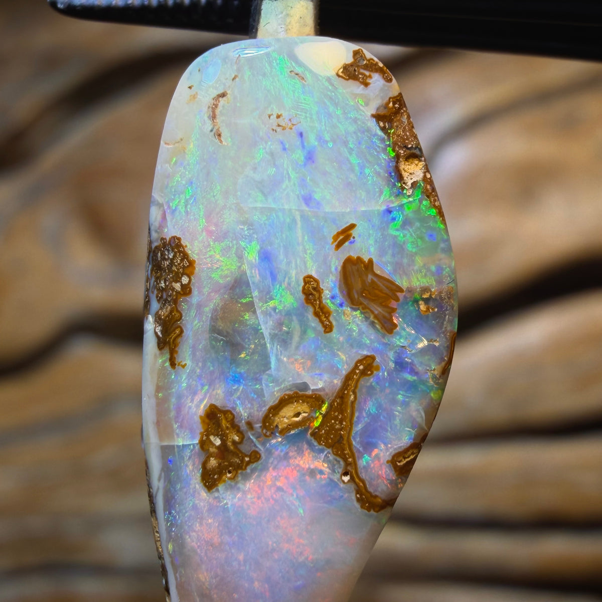 🔨 AUCTION 🔨 10.2cts - Solid Queensland Boulder Pipe Opal Pendant