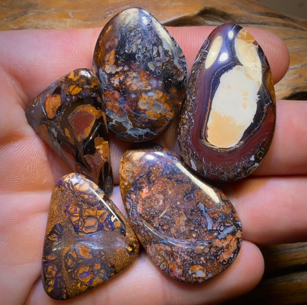 🔒 160.3cts - 5x Australian Tribal Boulder Opal’s. Wholesale Dealers Parcel