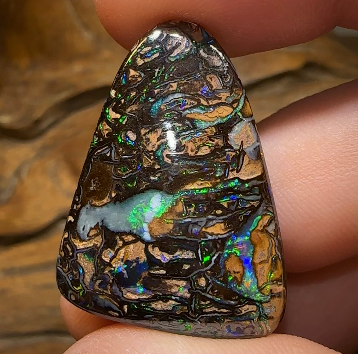 49.1cts - Top Tribal Queensland Boulder Opal. Australian Opal - Opal Whisperers
