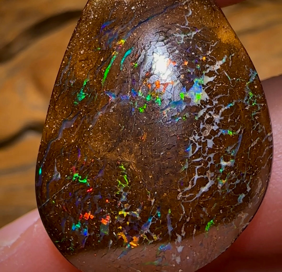 25.1cts - Bubble Band Opal from Winton