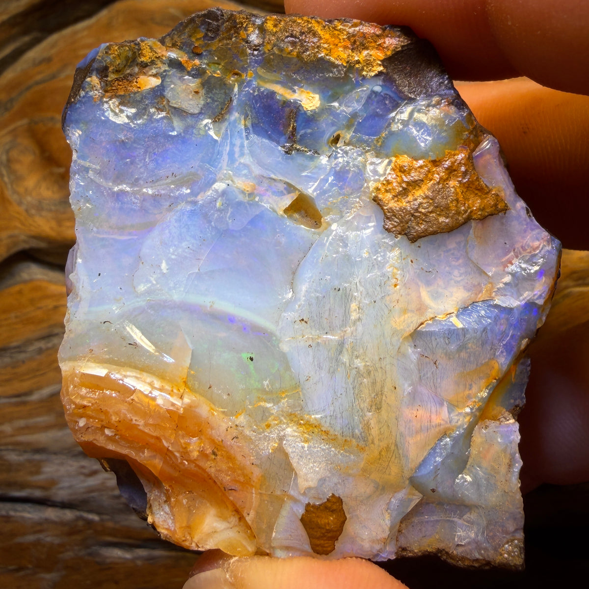 554cts - Queensland Boulder Seam Opal Rough Piece