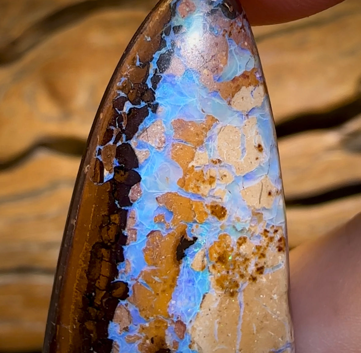 88.3cts - Large Queensland Boulder Opal from Yowah