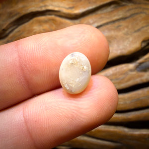 🔨 AUCTION 🔨 No Reserve 2.4cts - South Australian White Opal from Mintabie