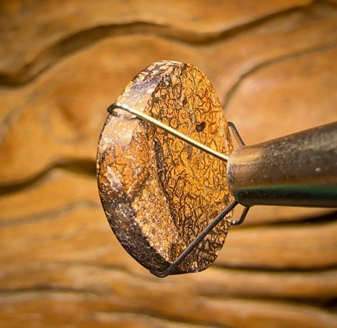 12.3cts - Tan Tribal Yowah Nut Opal. Multicolours!