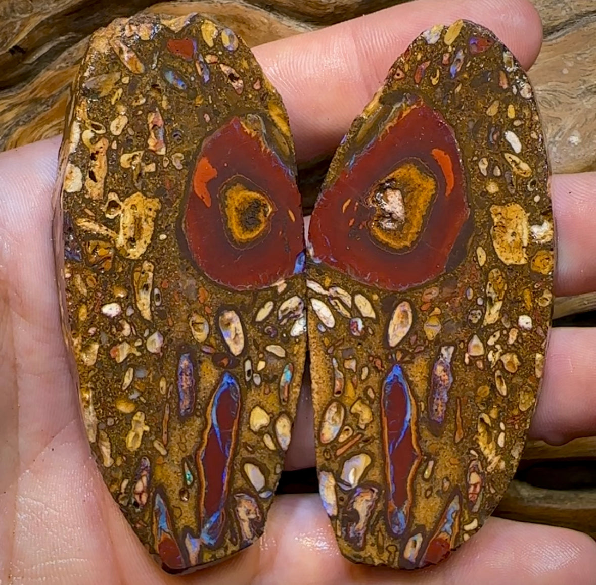 (Template) 112.7cts - Yowah Nut Conglomerate Rough Pair. Australian Boulder Opal - Opal Whisperers