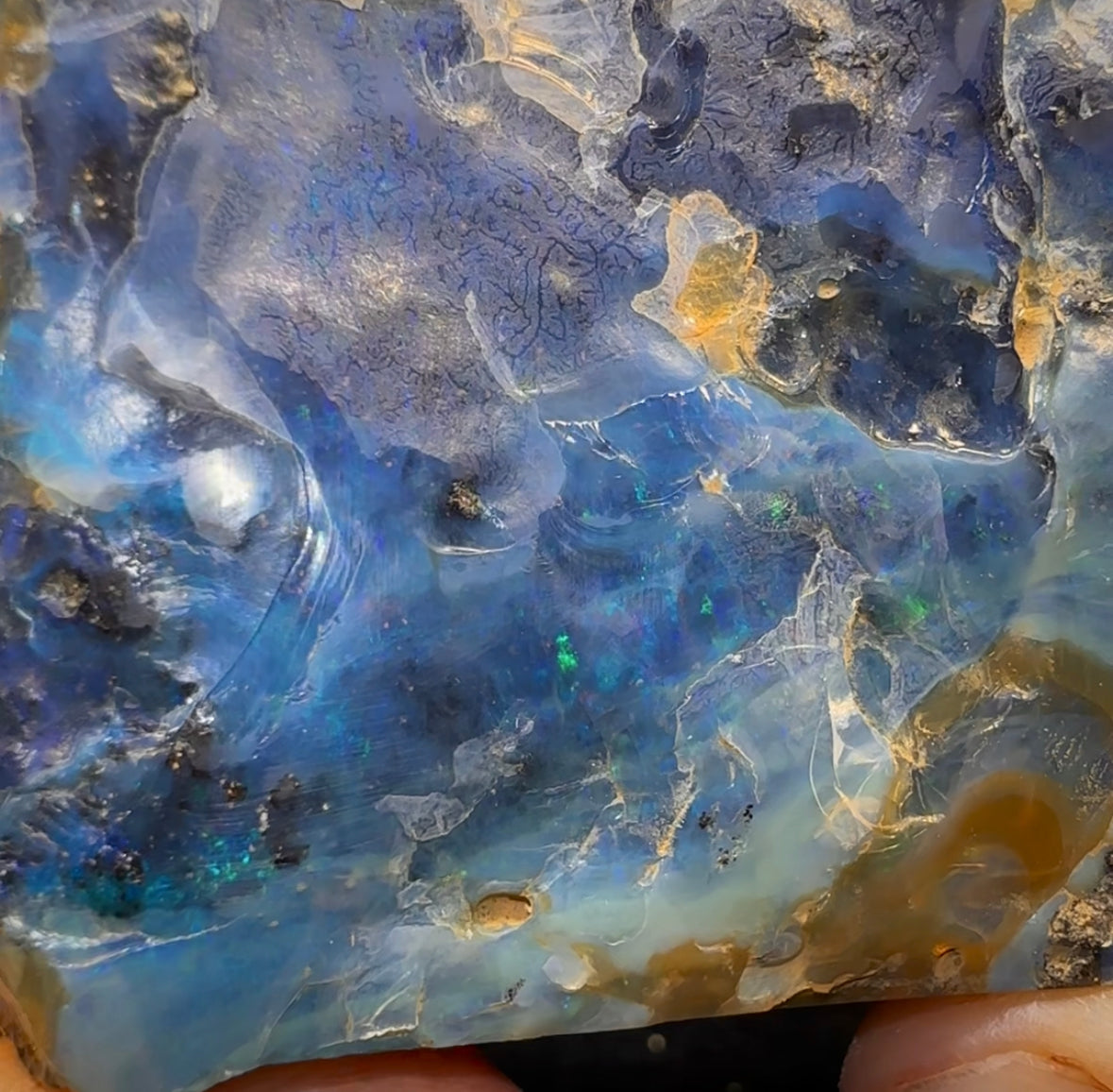 906g - Large Queensland Boulder Opal Rough Specimen from Winton - Opal Whisperers