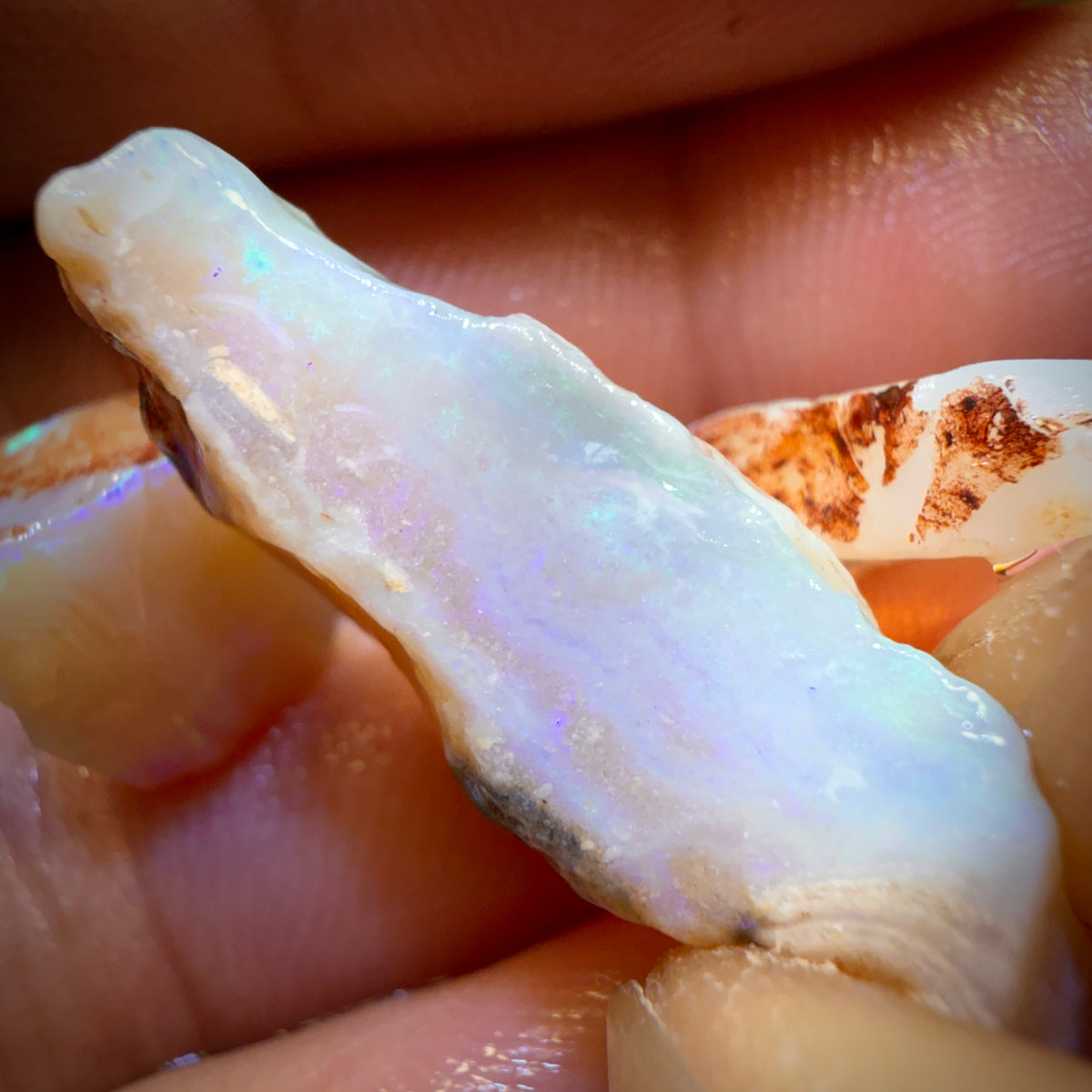 23.3cts - 3x South Australian Opal Rough Parcel