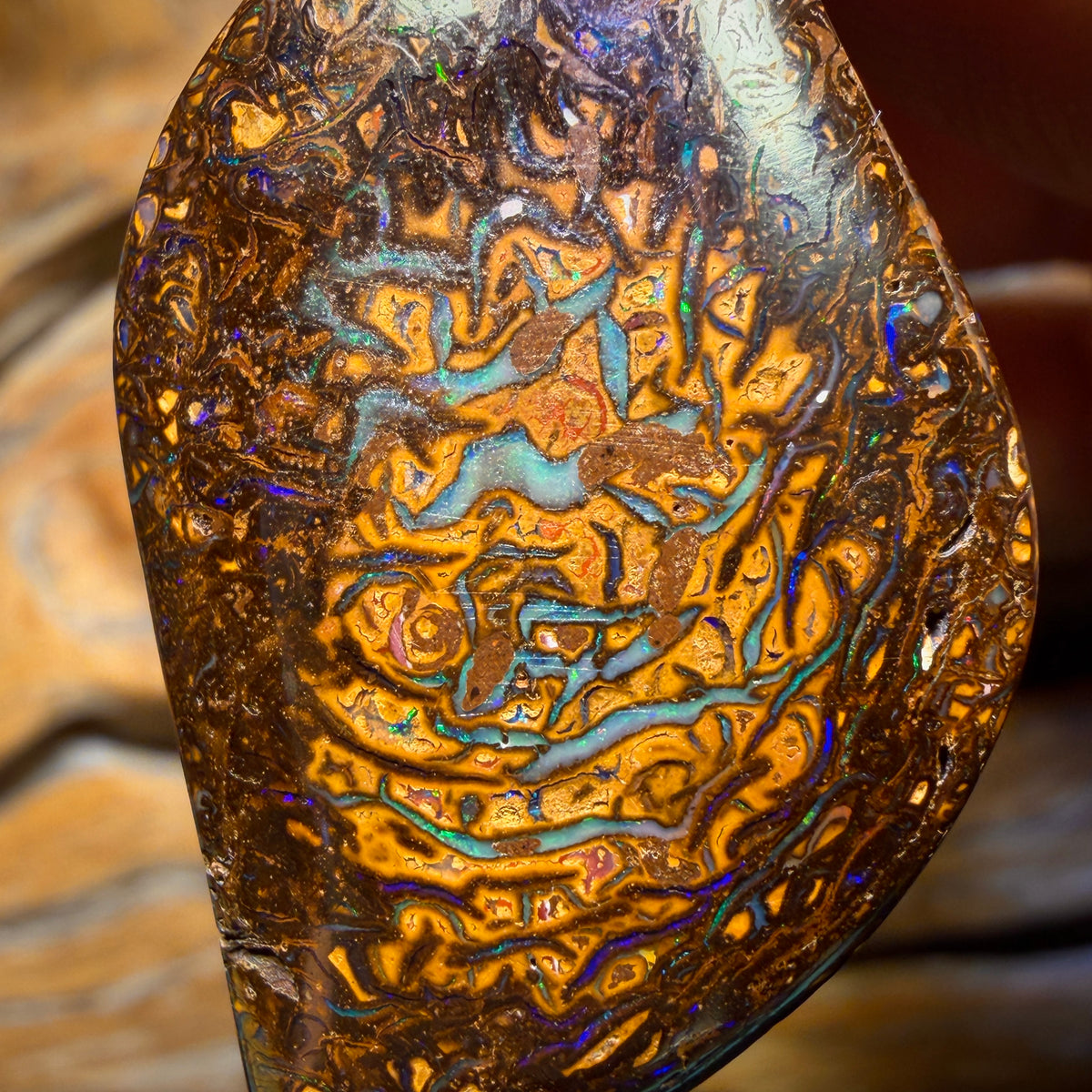 Roadshow Wild Card!           42 x 23mm - Drilled Tribal Queensland Boulder Opal Necklace