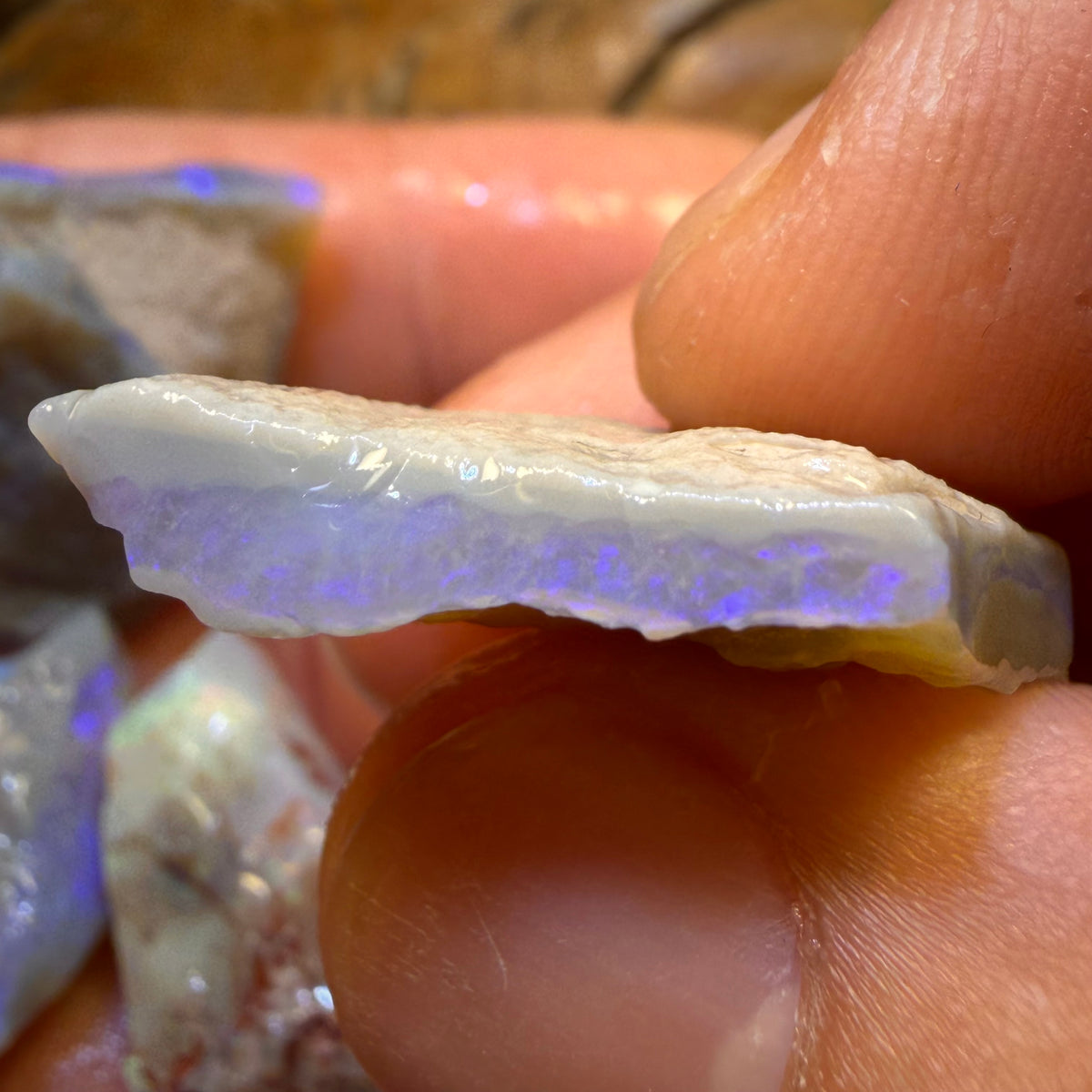 101.5cts - 5x Lightning Ridge Opal Rough Parcel
