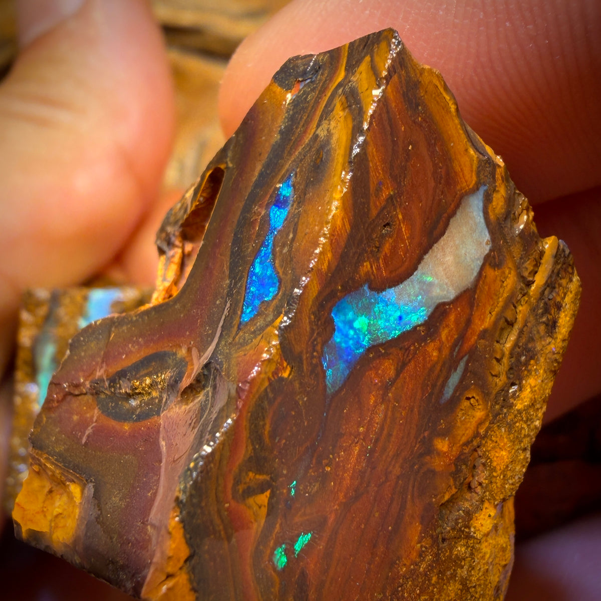304.1cts – 3x Queensland Boulder-Opal-Rohsteinpaket aus Duck Creek