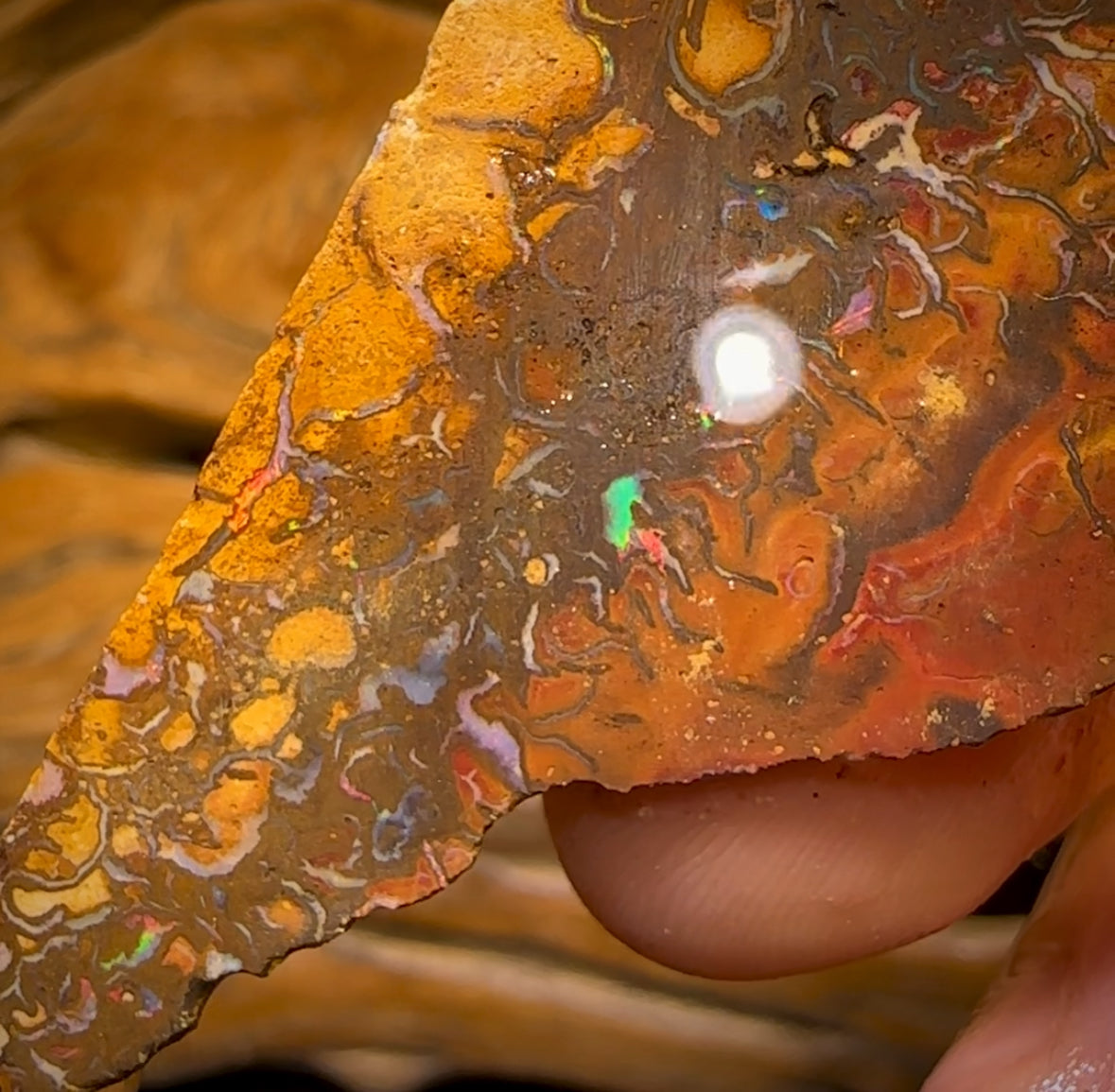 154cts -  Tribal Queensland Boulder Opal Rough Piece