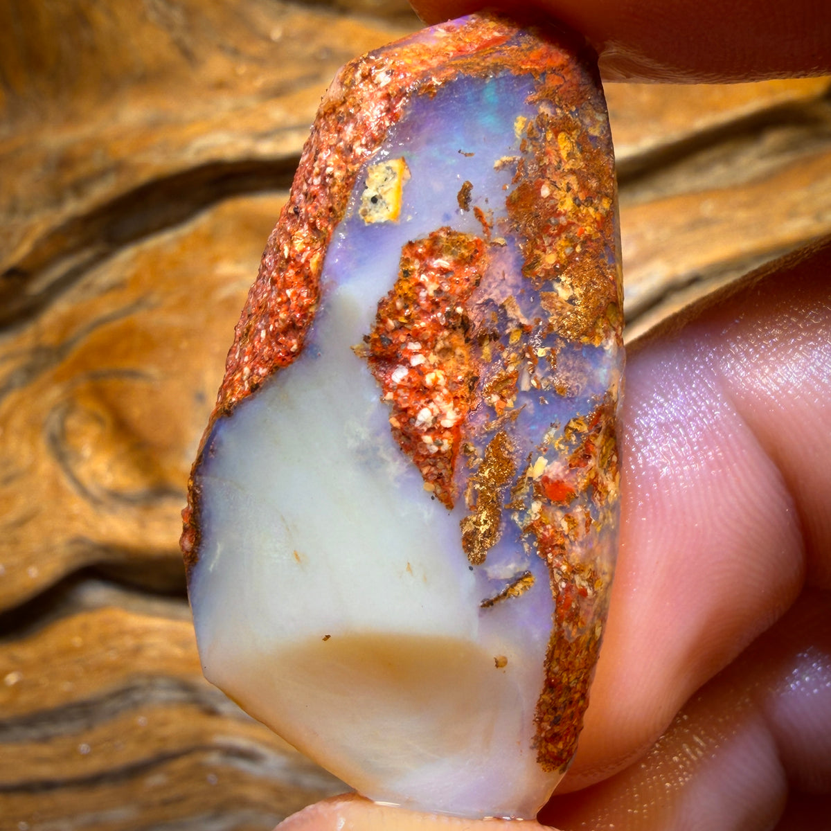 56.1cts - Boulder Pipe Opal Rough Piece. Australian Opal