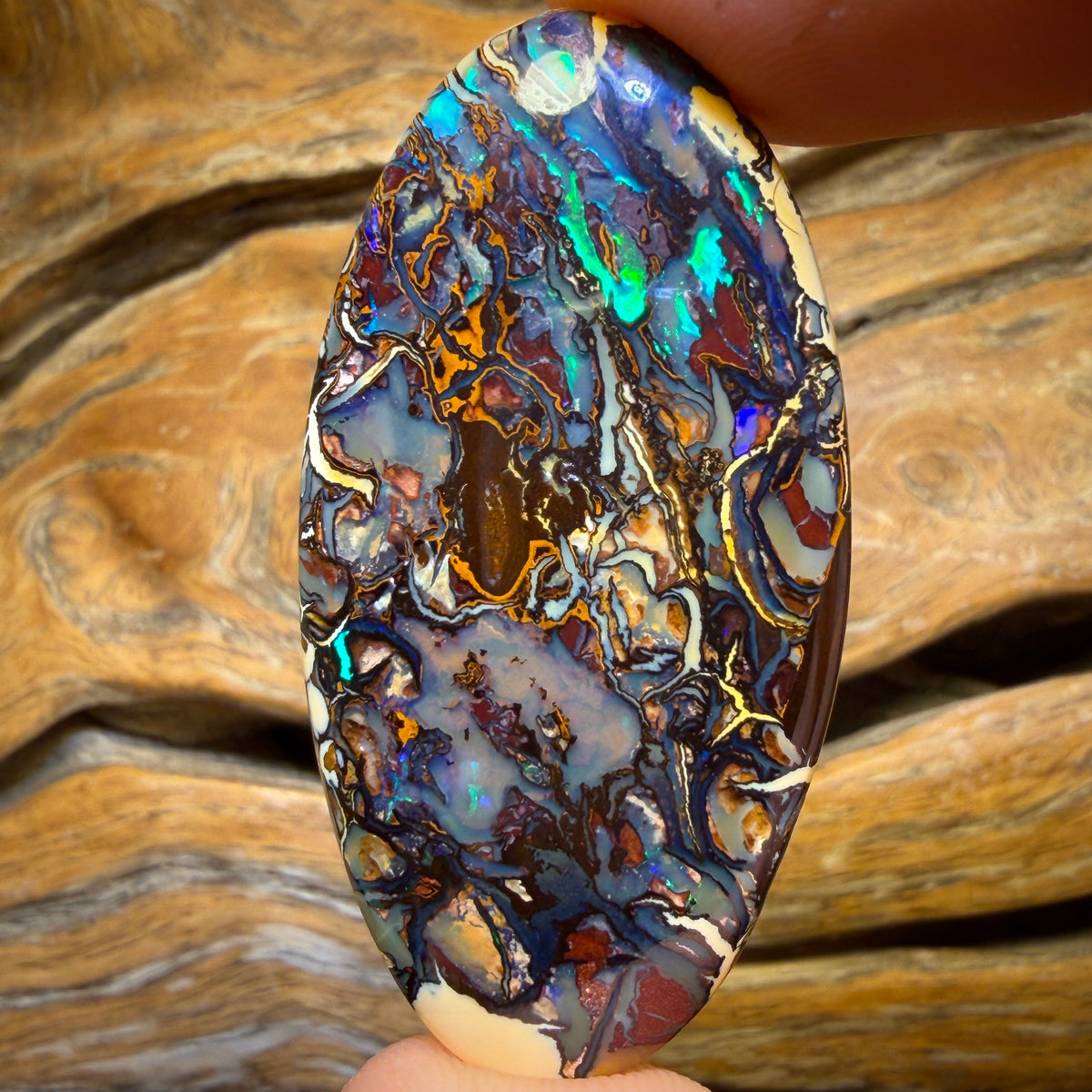 56.6cts - Top Tribal Australian Boulder Opal from Koroit