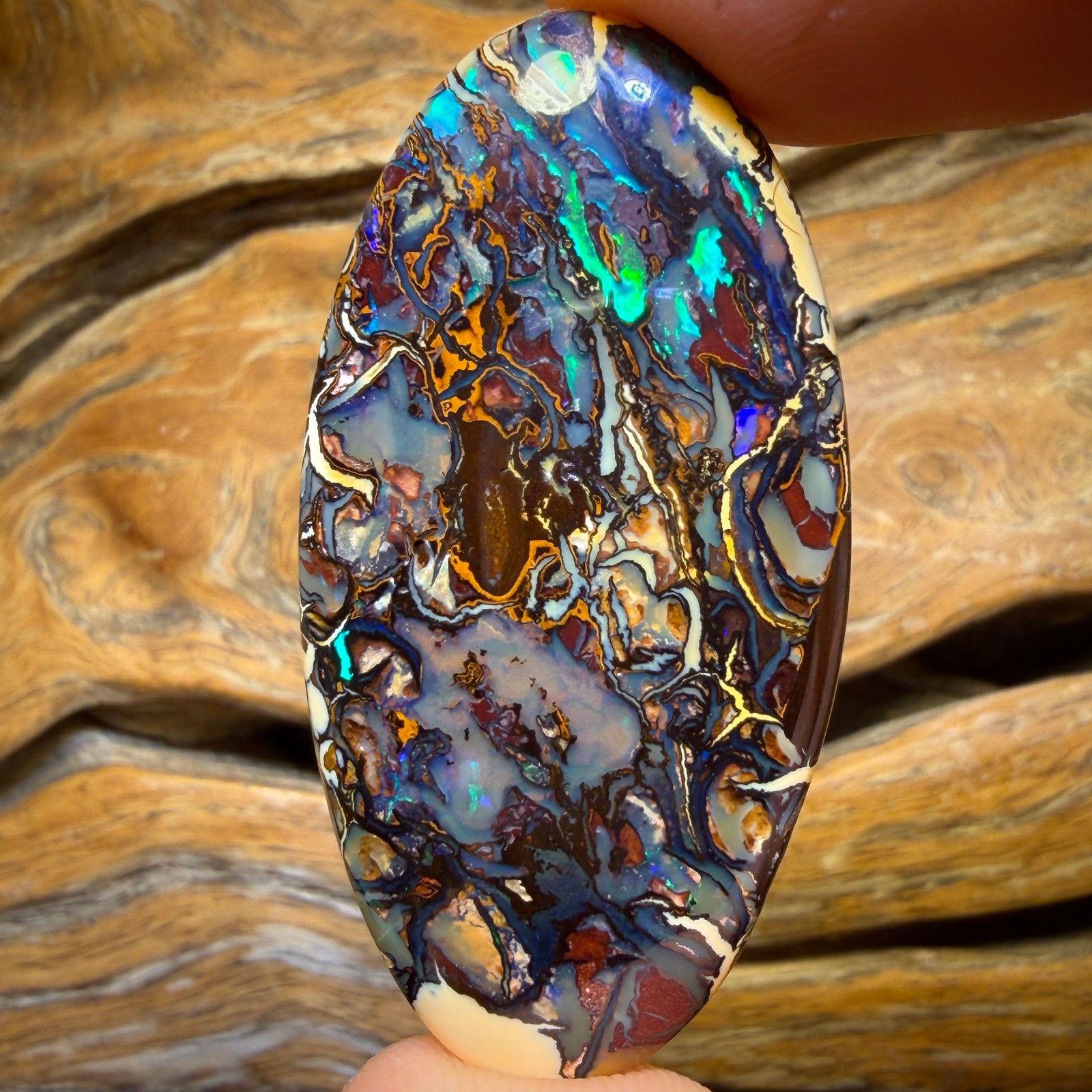 56.6cts - Top Tribal Australian Boulder Opal from Koroit