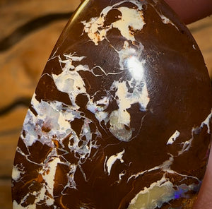 42.4cts - Queensland Boulder Opal Half Price