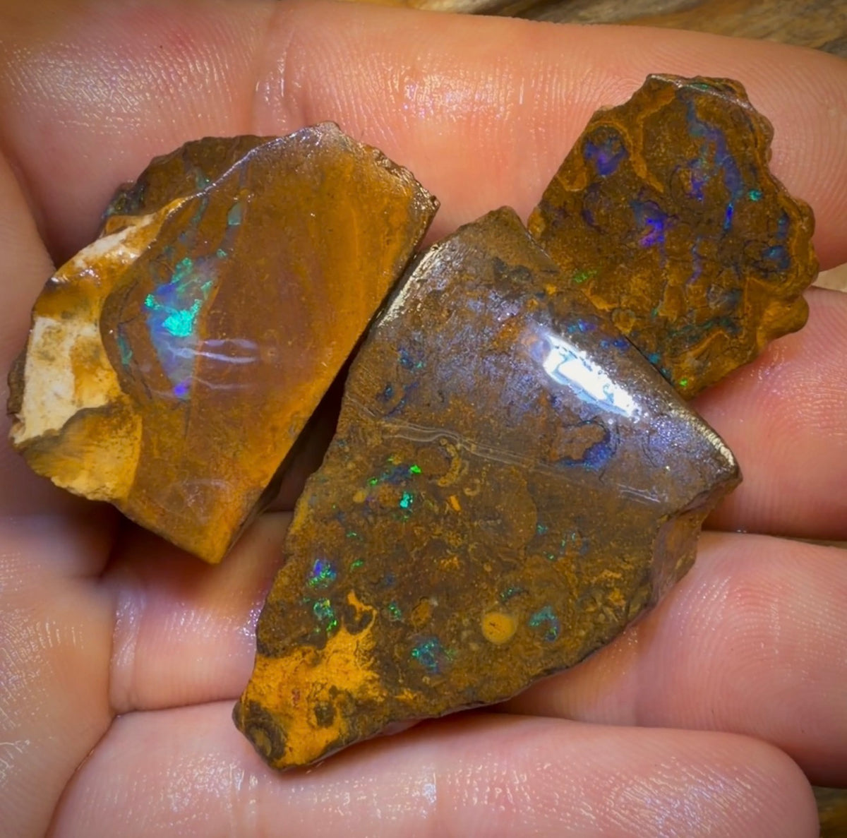🔒154.7cts - 3x Australian Boulder Opal Rough Parcel