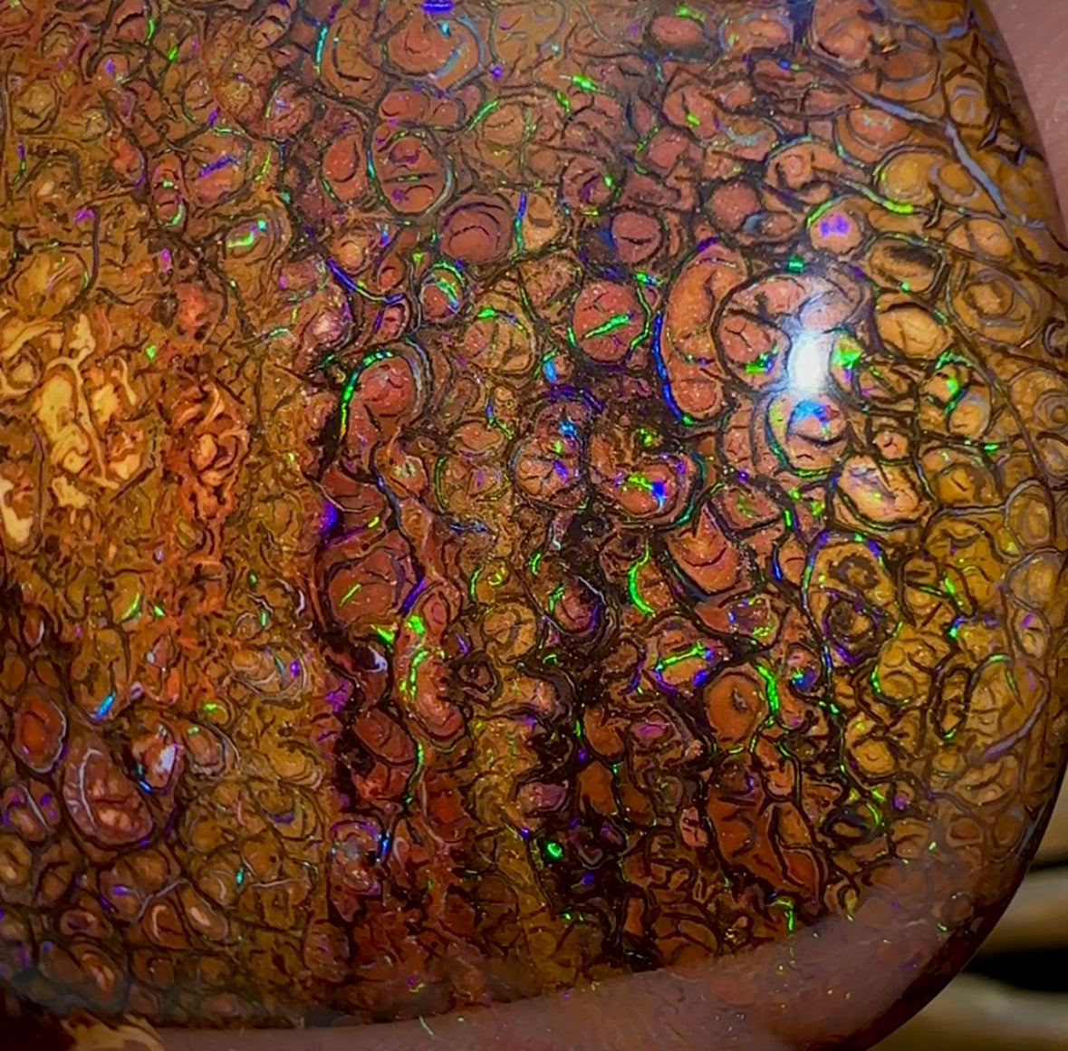 546.6cts - Huge Polished Tribal Yowah Nut Opal Specimen - Opal Whisperers