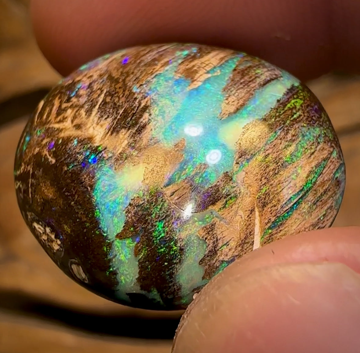 31.4cts - Top Queensland Boulder Wood Fossil Opal. Featured on “Outback Opal Hunters”! Celebrity Stone