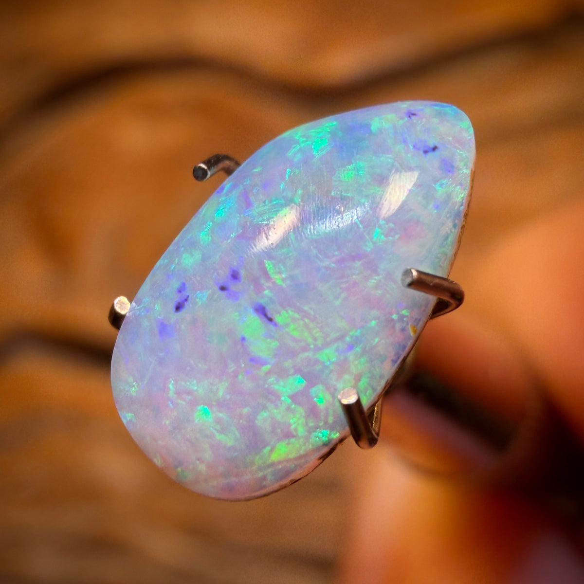 2.2cts - Solid Australian Boulder Pipe Opal