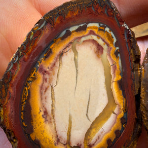 Wild Card! 416.1cts - RARE Yowah Nut Partial Crystal Centre Rough Specimen Pair
