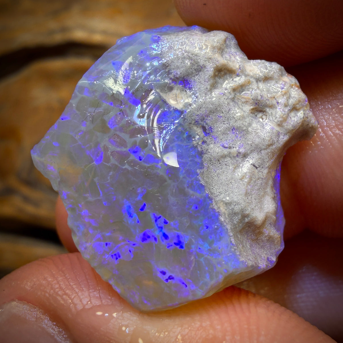 25.2cts - Lightning Ridge Opal Rough Piece. Isaac’s Cutter’s!