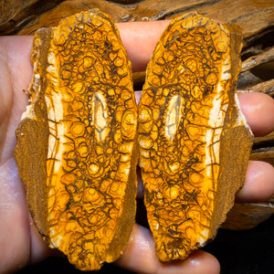 565cts - Large Tribal Yowah Nut Opal Rough Pair. Australian Opal