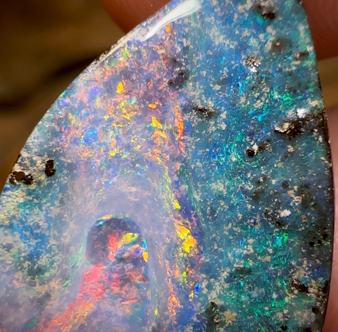 16.5cts - Queensland Boulder Opal from Winton - Opal Whisperers