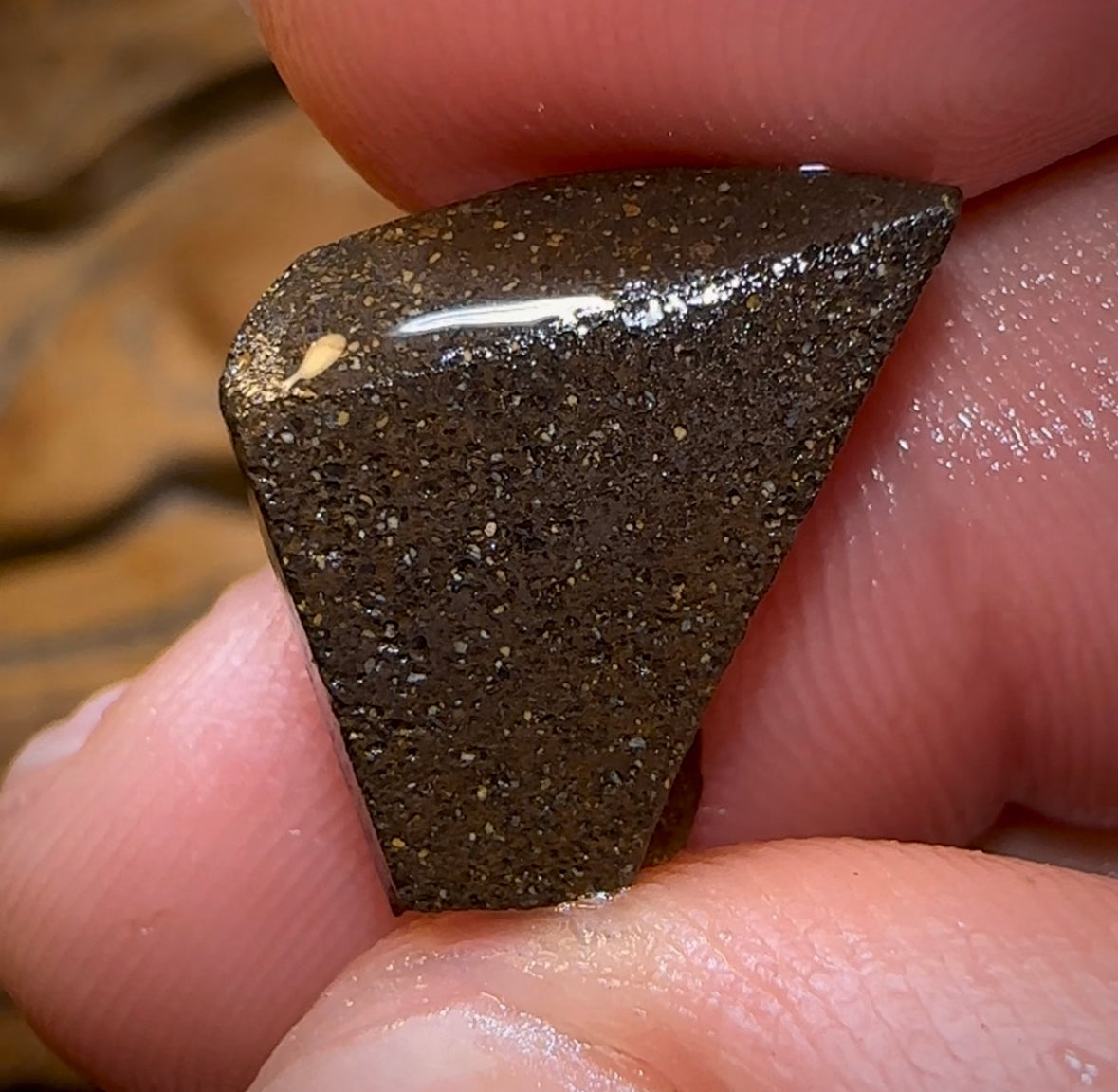 9.6cts - Australian Boulder Opal Quality Rough Preform. Natural Split - Opal Whisperers