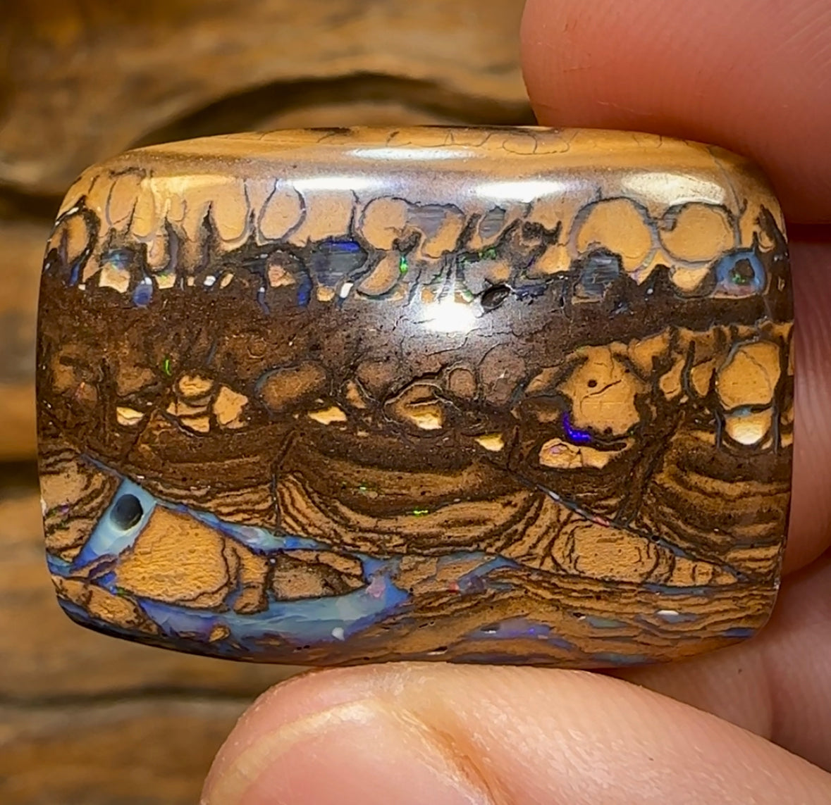 62.7cts - Queensland Boulder Opal - Opal Whisperers