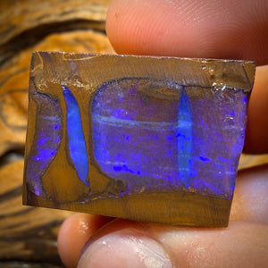 199.2cts - Found whilst Filming for Discovery Channel Duck Creek Boulder Opal Rough Preform