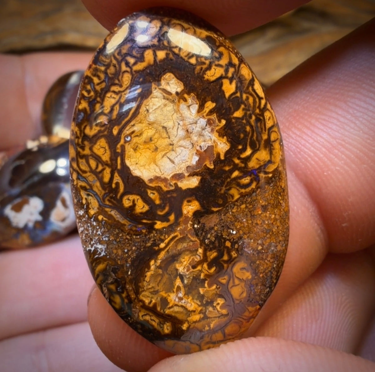 178.7cts - 5x Australian Boulder Opal’s. Wholesale Dealers Parcel