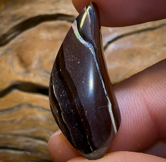 🔨 AUCTION 🔨 No Reserve 33.5cts - Tribal Queensland Boulder Opal from Koroit