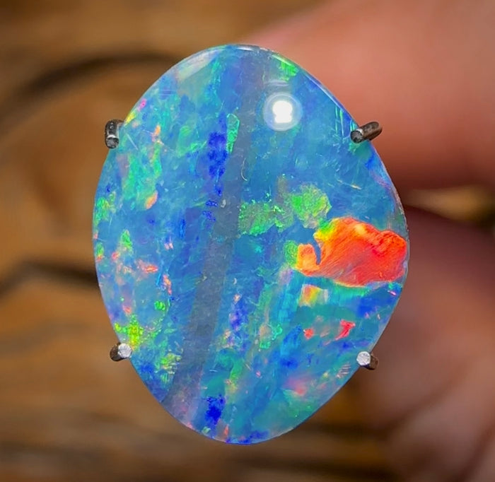 2.5cts - Australian Boulder Opal Doublet from Super Rare Old School Fossil Pipì Shell - Opal Whisperers