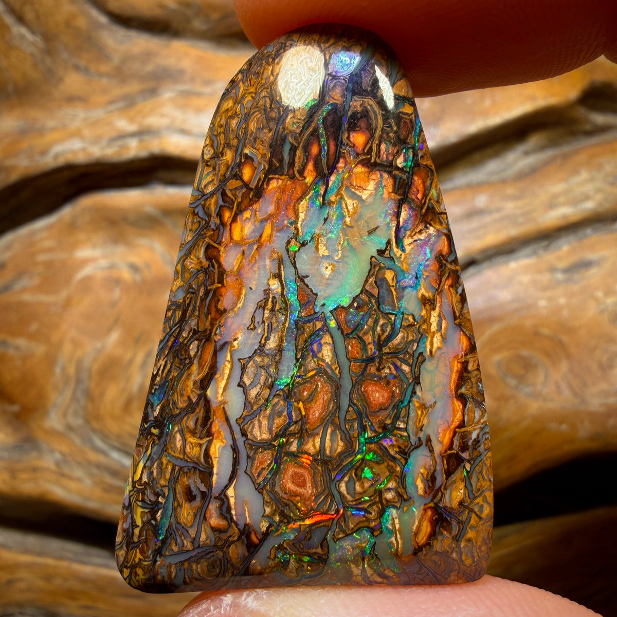 57.3cts - Top Tribal Queensland Boulder Opal from Yowah