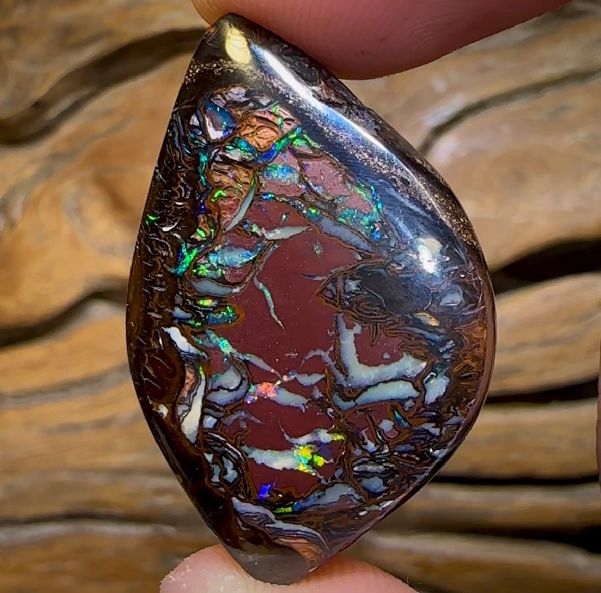 47.9cts - Tribal Koroit Nut Opal. Double Sided - Opal Whisperers