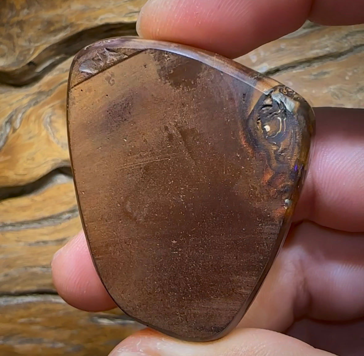 273.7cts - “Mystic Creature” Yowah Nut Crystal Centre Opal. Polished Specimen - Opal Whisperers