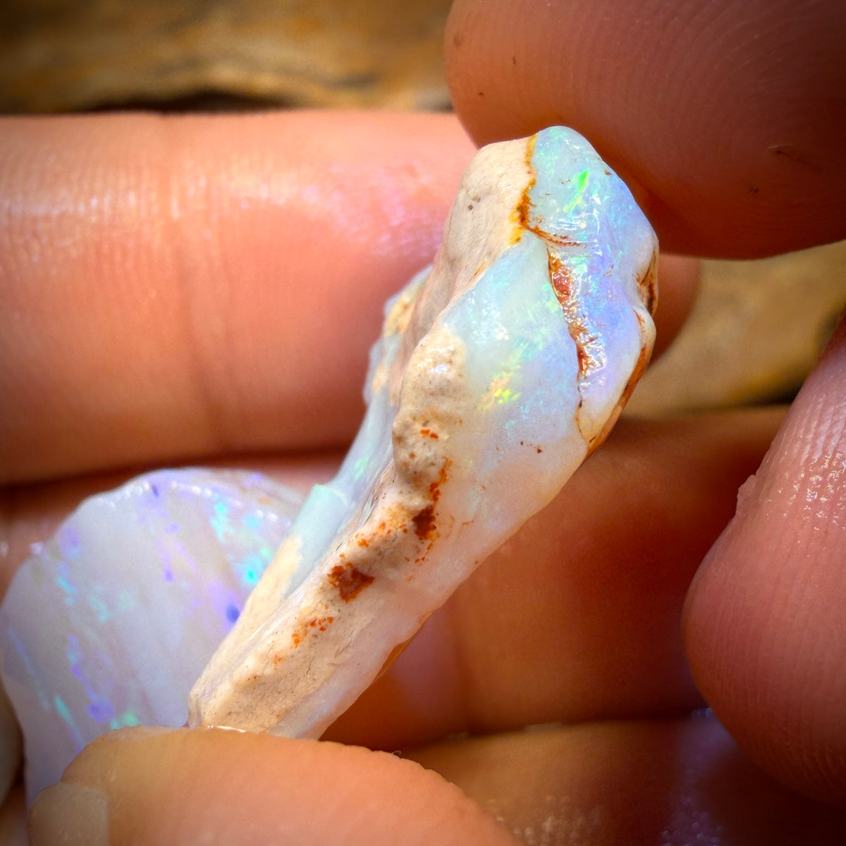 🔨 AUCTION 🔨 45.7cts - 3x South Australian Opal Rough Parcel