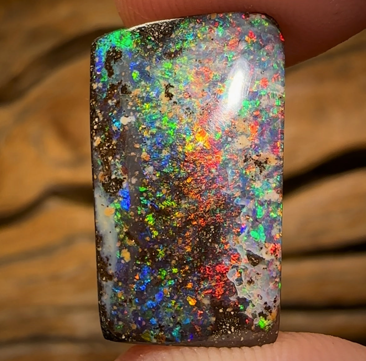 18.6cts - GEM Queensland Boulder Seam Opal. MULTICOLOURS!