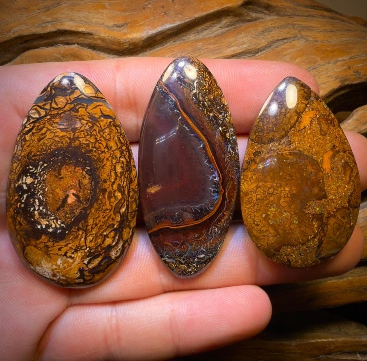 221.5cts - 3x Australian Tribal Boulder Opal’s. Wholesale Dealers Parcel $1/Ct Bargain