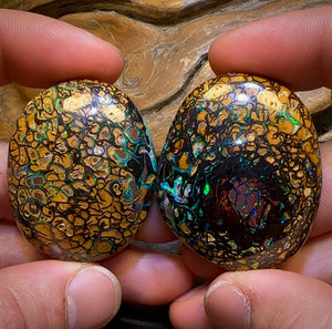 258.1cts - “Crazy Eyes” Top Tribal Yowah Nut Opal Pair. Double Sided